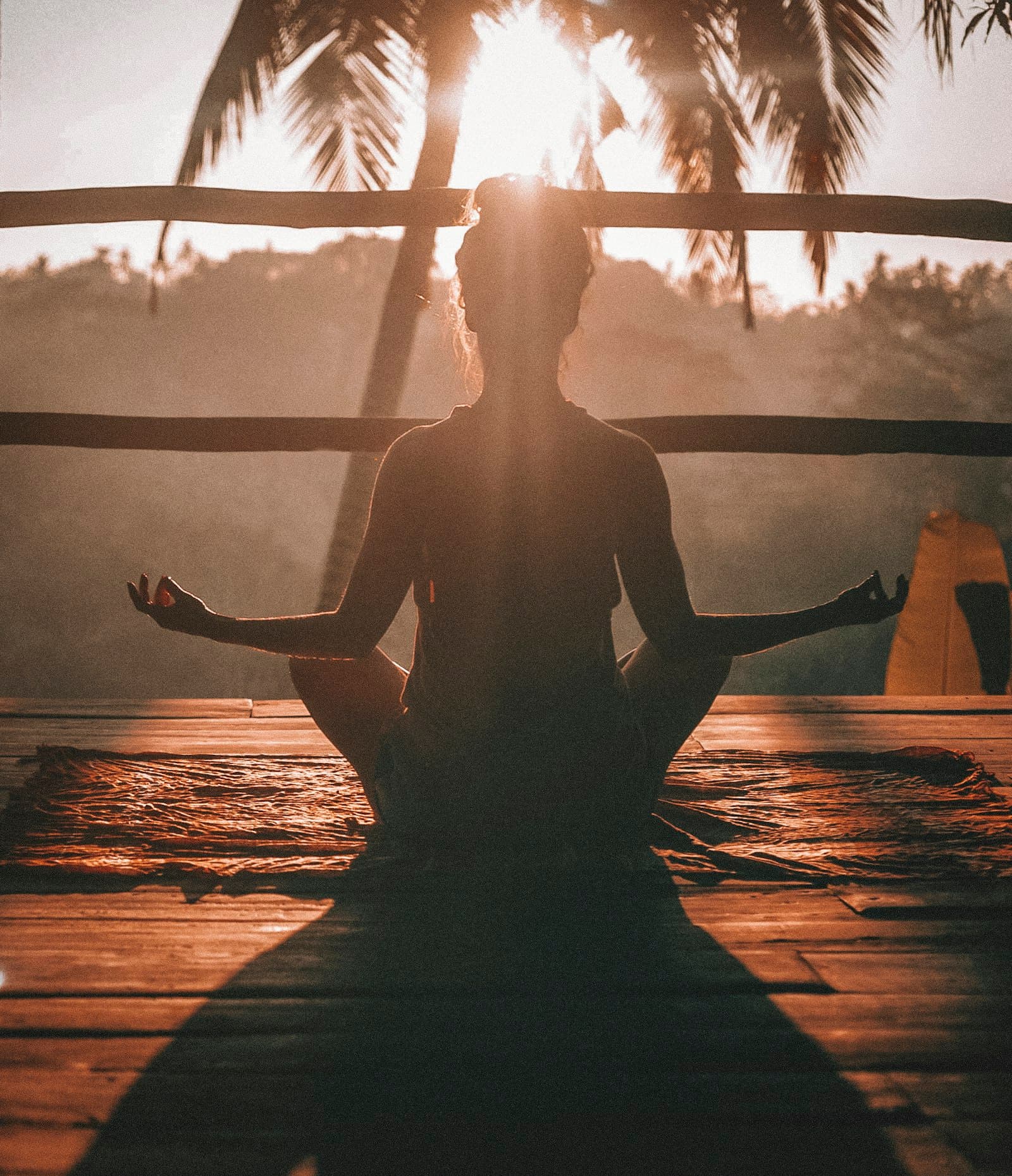 Wellness, music & arts