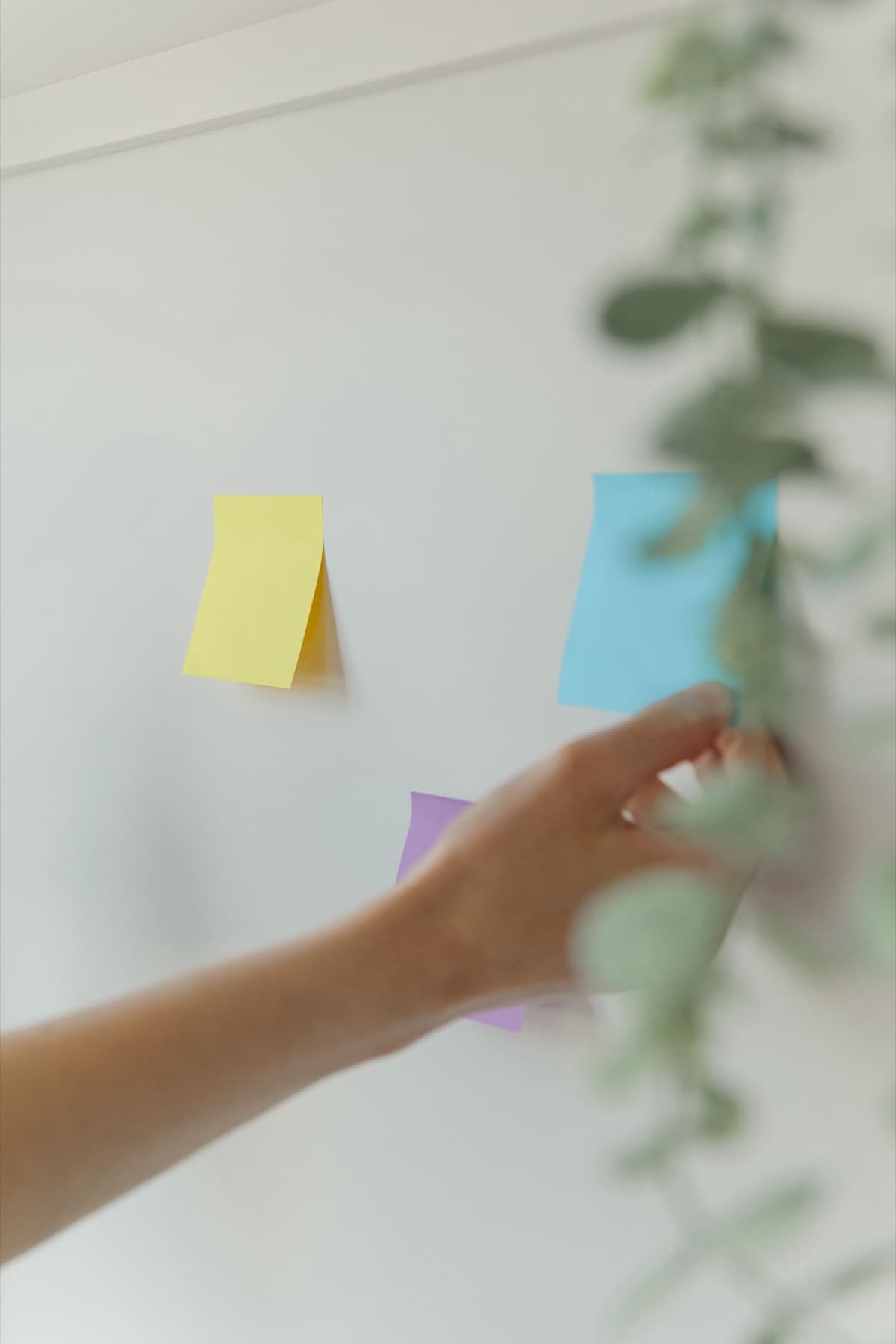 Colourful sticky notes being arranged on a wall during a campaign brainstorm